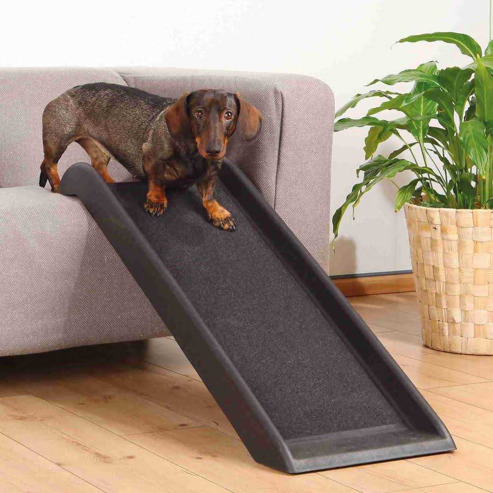 Pet Ramp X38196