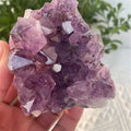 Natural Dream Amethyst Quartz Crystal Cluster Specimen C331