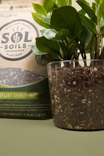 Chunky Houseplant Mix Fast Draining Soil 1 Gallon V65219