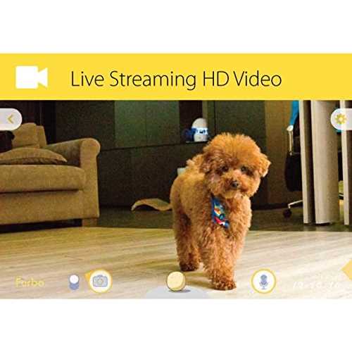 Dog Camera Z551