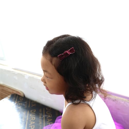 24 Pieces Velvet Bow Hair Clips R238