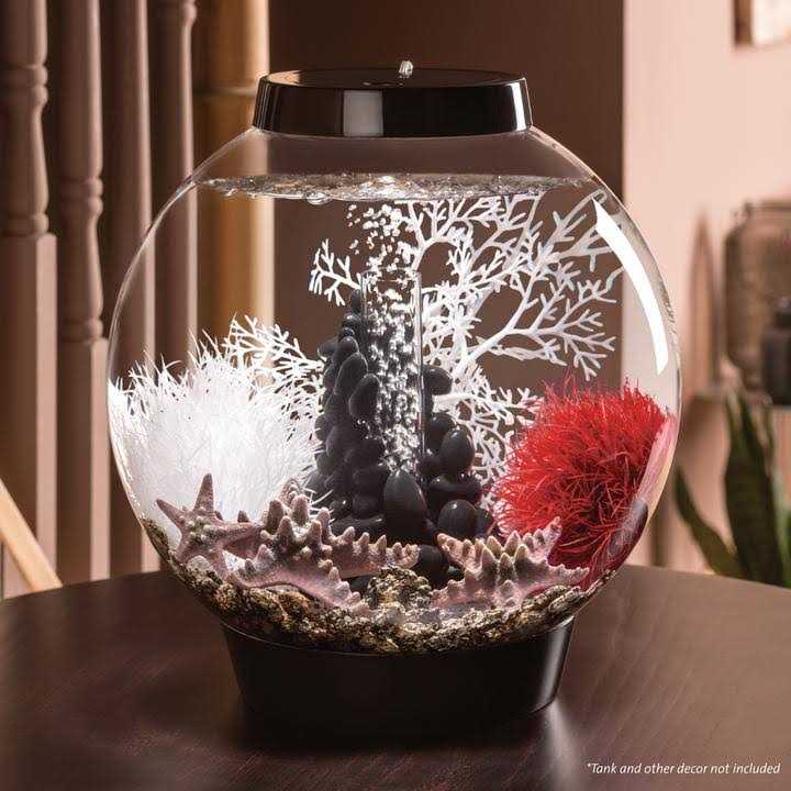 Home Goods P105