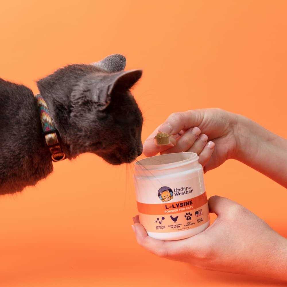 L-lysine Powder Cat Supplement Q795752