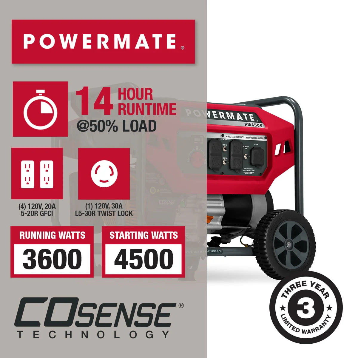 4500 Watt Dual Fuel Portable Generator A874