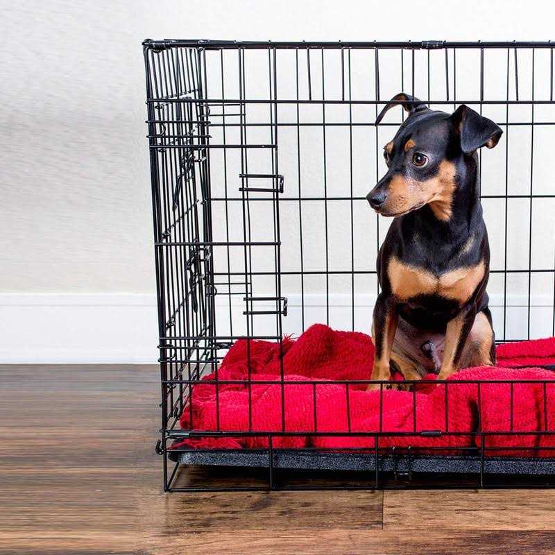 Medium 24 Inch Plastic Replacement Tray for Dog Crate L69933