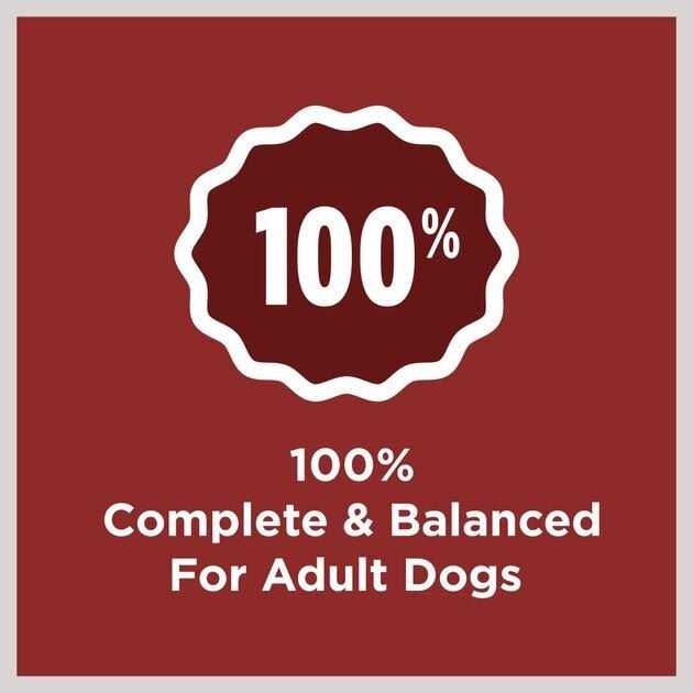 Adult Dry Dog Food Z173635