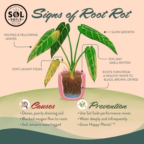 Chunky Houseplant Mix Fast Draining Soil 1 Gallon V65219