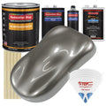 Graphite Gray Metallic 1 Gallon Auto Paint Kit Z666564