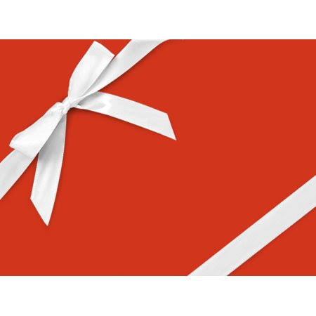 Orange Velvet Gift Wrap S139