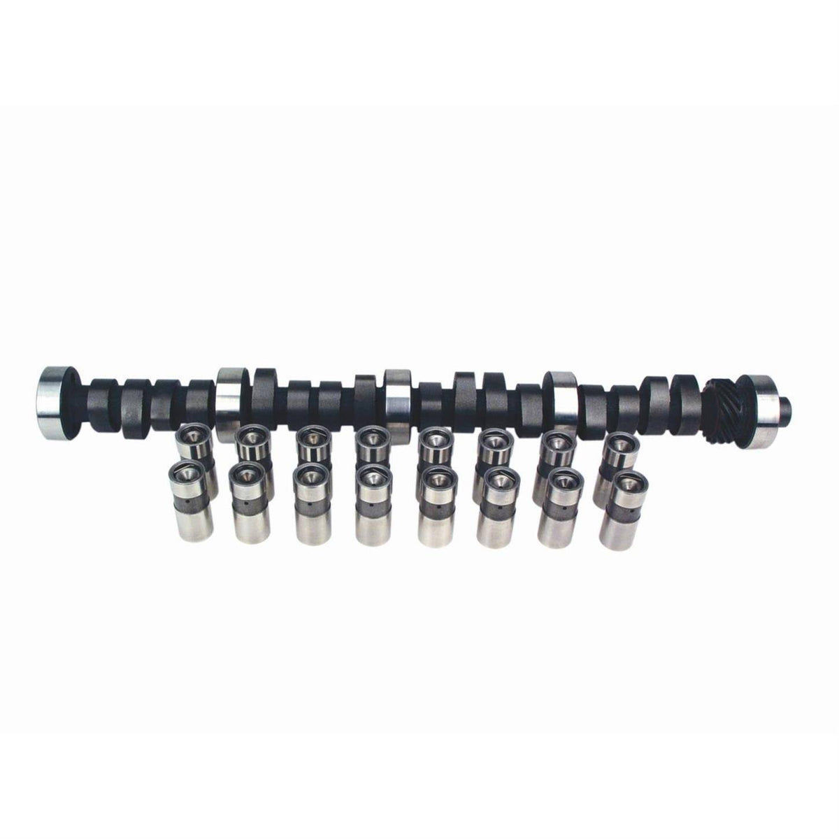 Magnum Camshaft and Lifter Kit P49868