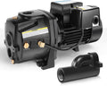 Cast Iron Convertible Well Jet Pump with Ejector Kit F901219