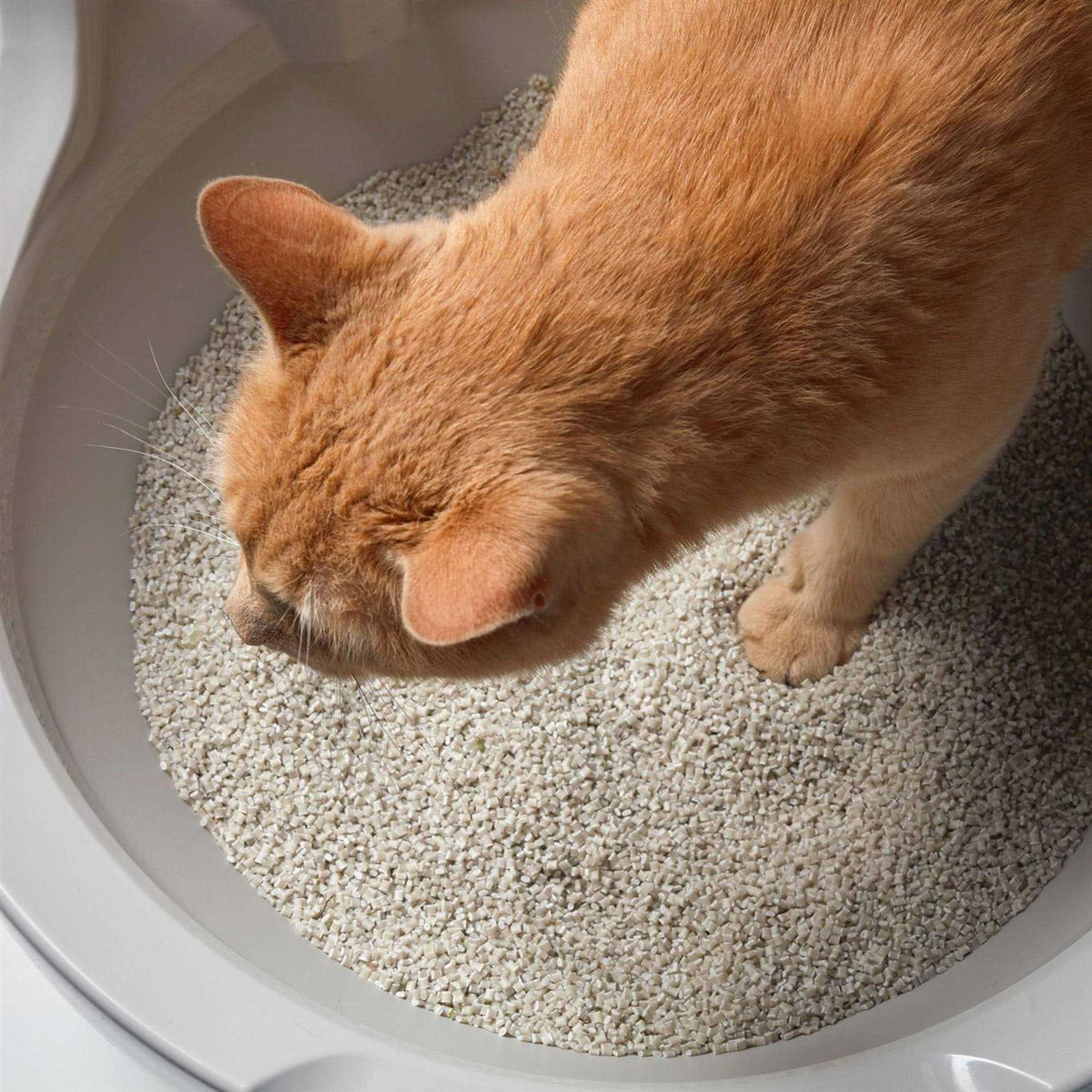 Washable Granules R973