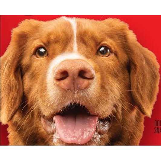 Grain Free Dog U971