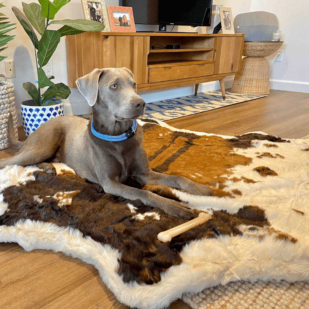 Animal Print Memory Foam Dog Bed Q614