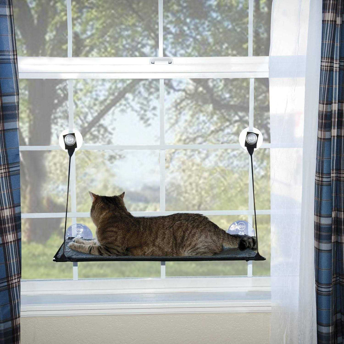 Window Kitty Sill Y7300