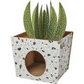 Cardboard Cat House D439