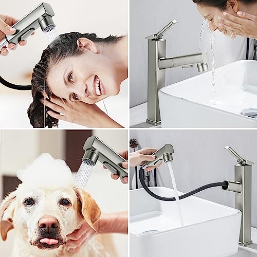 Single Hole Pull Out Bathroom Faucet with Rotating Spout J979