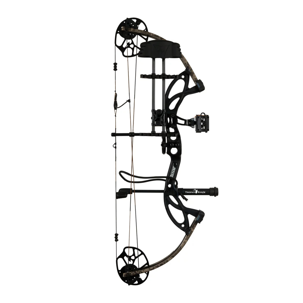 Bear Cruzer G3 Z589978