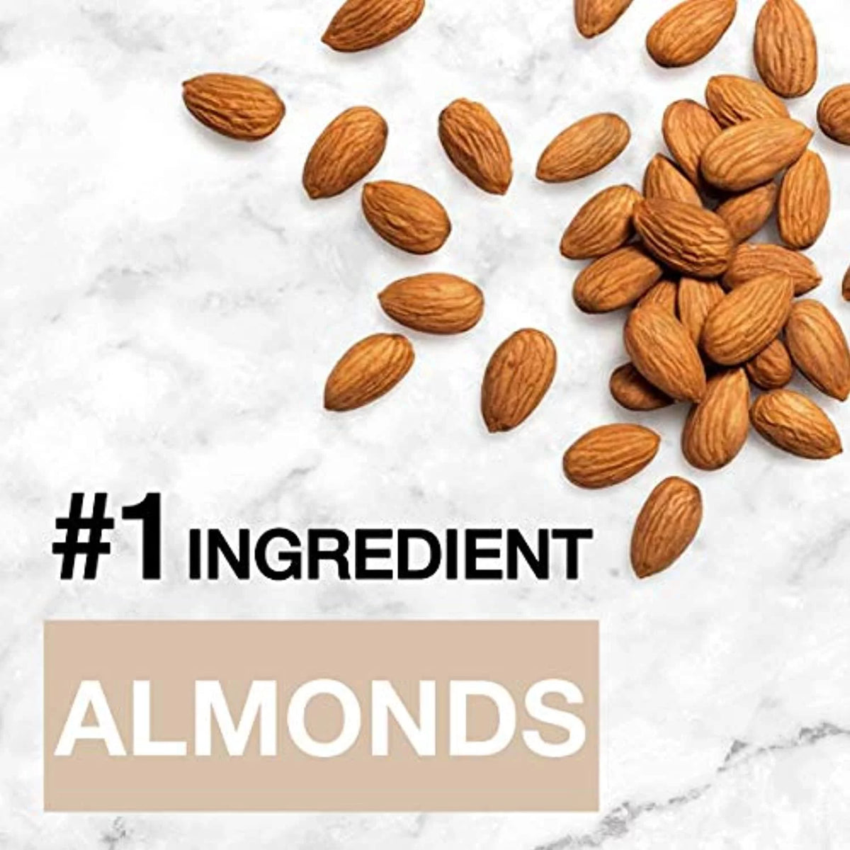 Dark Chocolate Almond Coconut Bars, 1.4 Oz, 24 Count J670