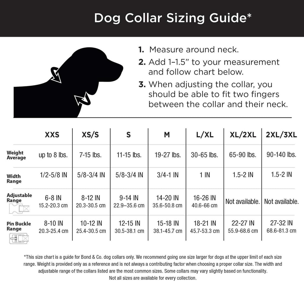 Bling Dog Collar E79959