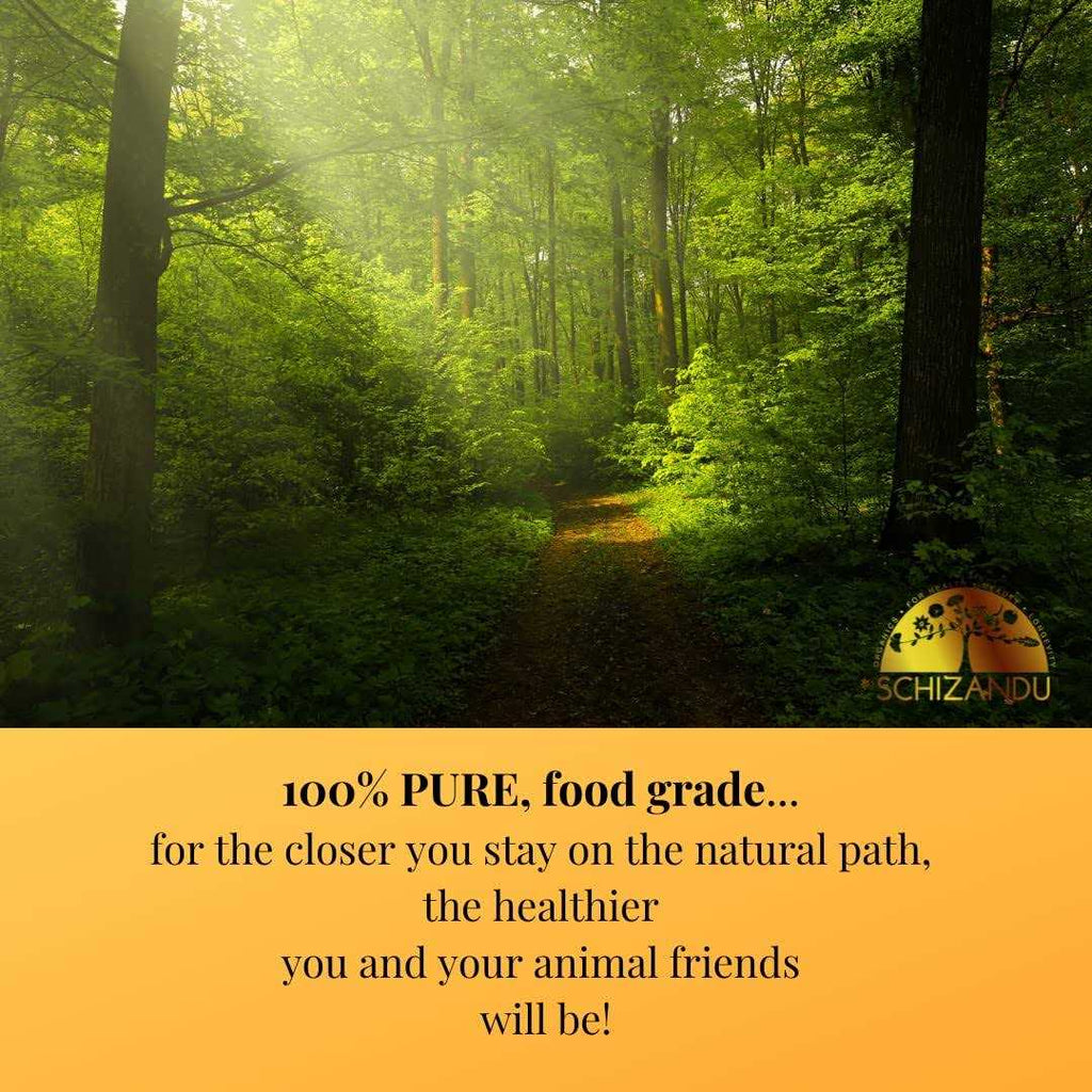 Activated Charcoal for Pets X265