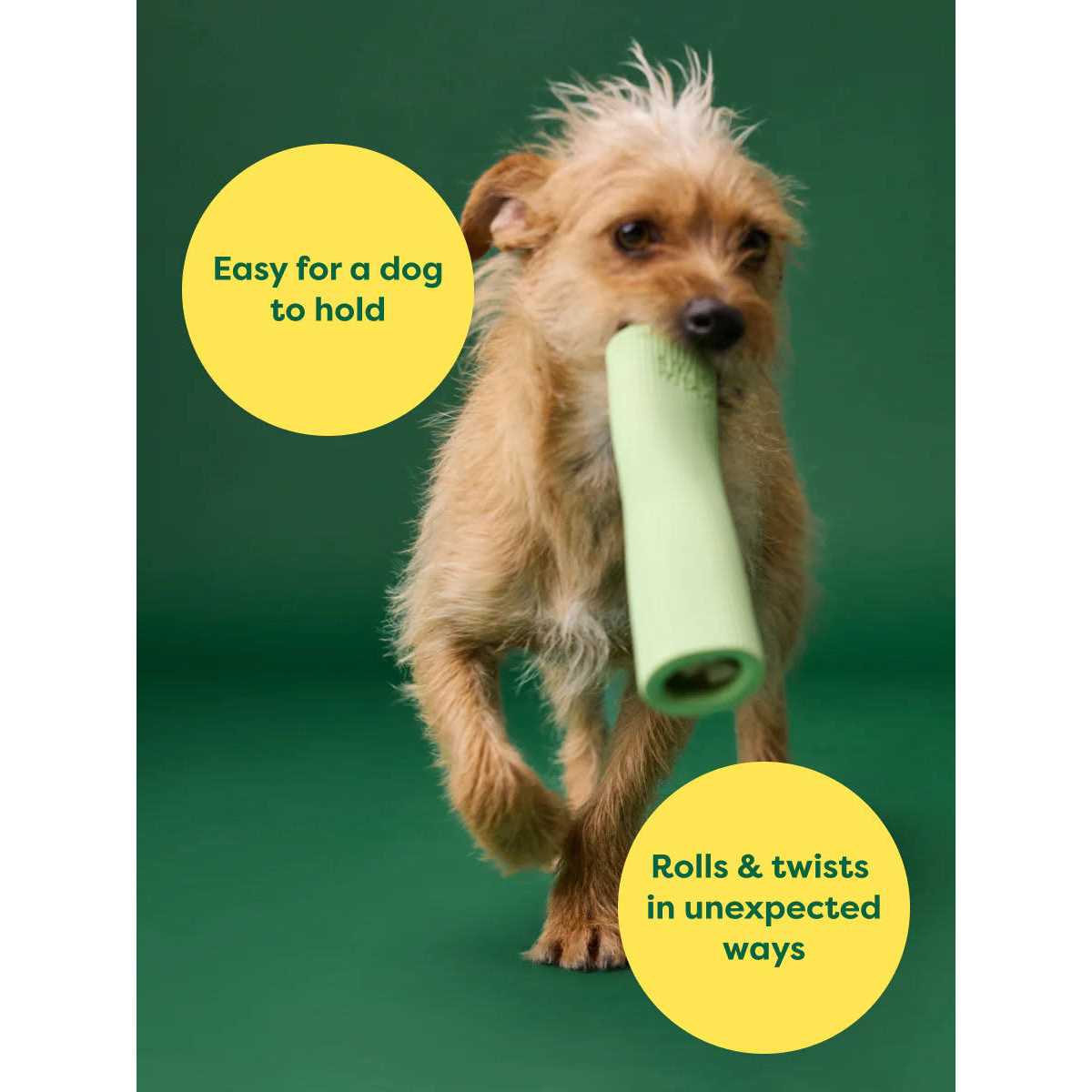 Rubber Chew Dog Toy W620
