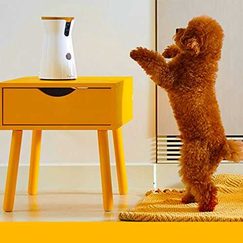 Dog Camera Z551