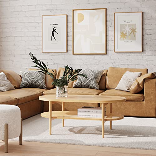 2-Tier Oval Coffee Table with Storage Shelf Y30282
