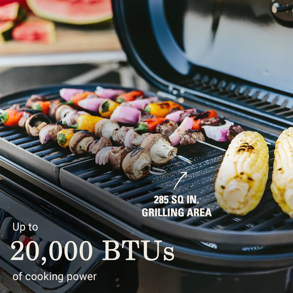 Standup Propane Gas Grill C23356