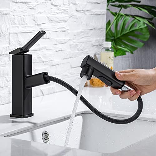 Single Hole Pull Out Bathroom Faucet with Rotating Spout J979