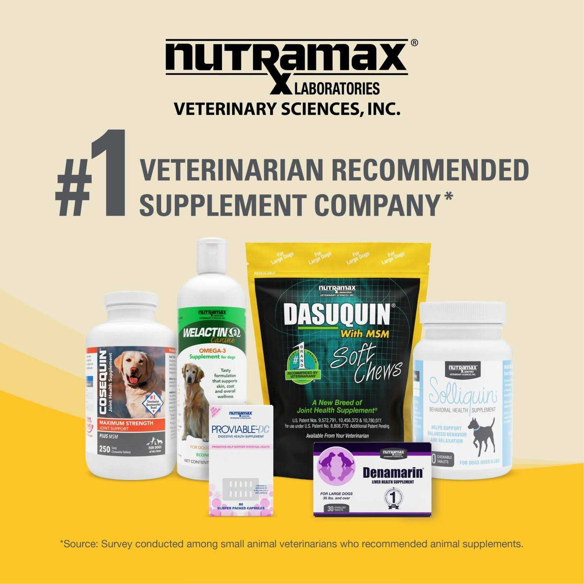 Joint Health Supplement with MSM for Small to Medium Dogs M155889