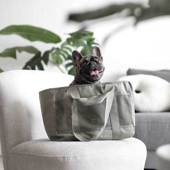 Canvas Lightweight Water Resistant Small Dog Carrier Y1351