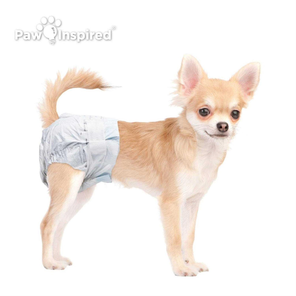 Disposable Female Dog Diapers C679