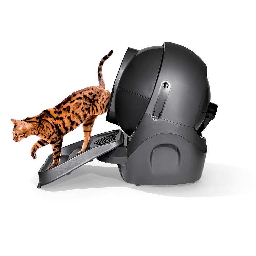 Cat Litter Box Ramp M15247