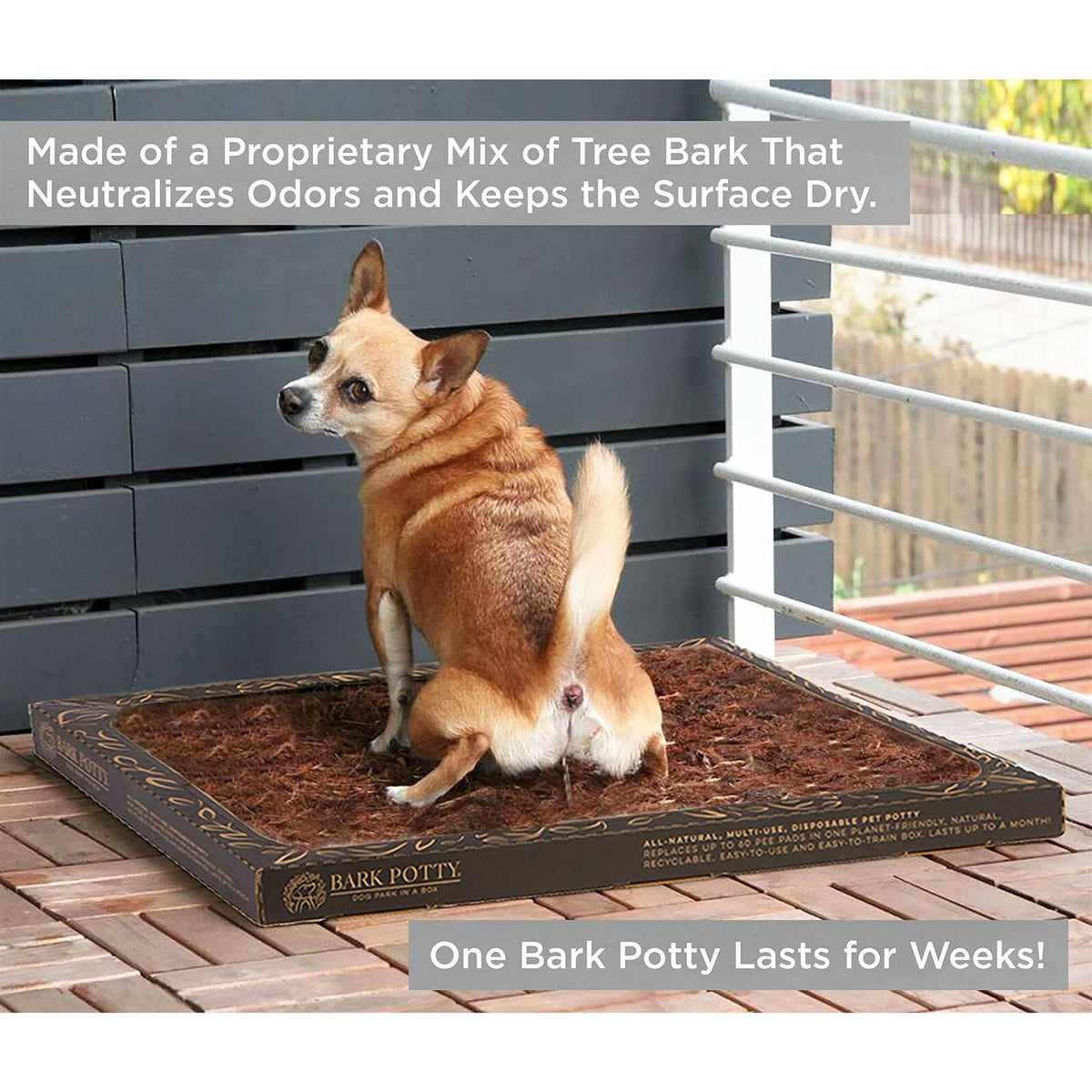 Disposable Dog Potty S5582
