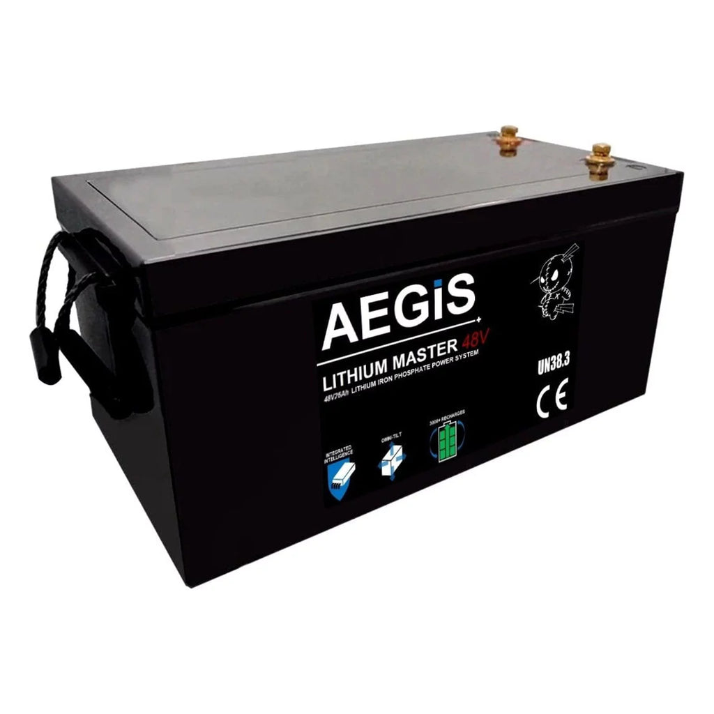 48v 75ah LiFePO4 Deep Cycle Battery W6018