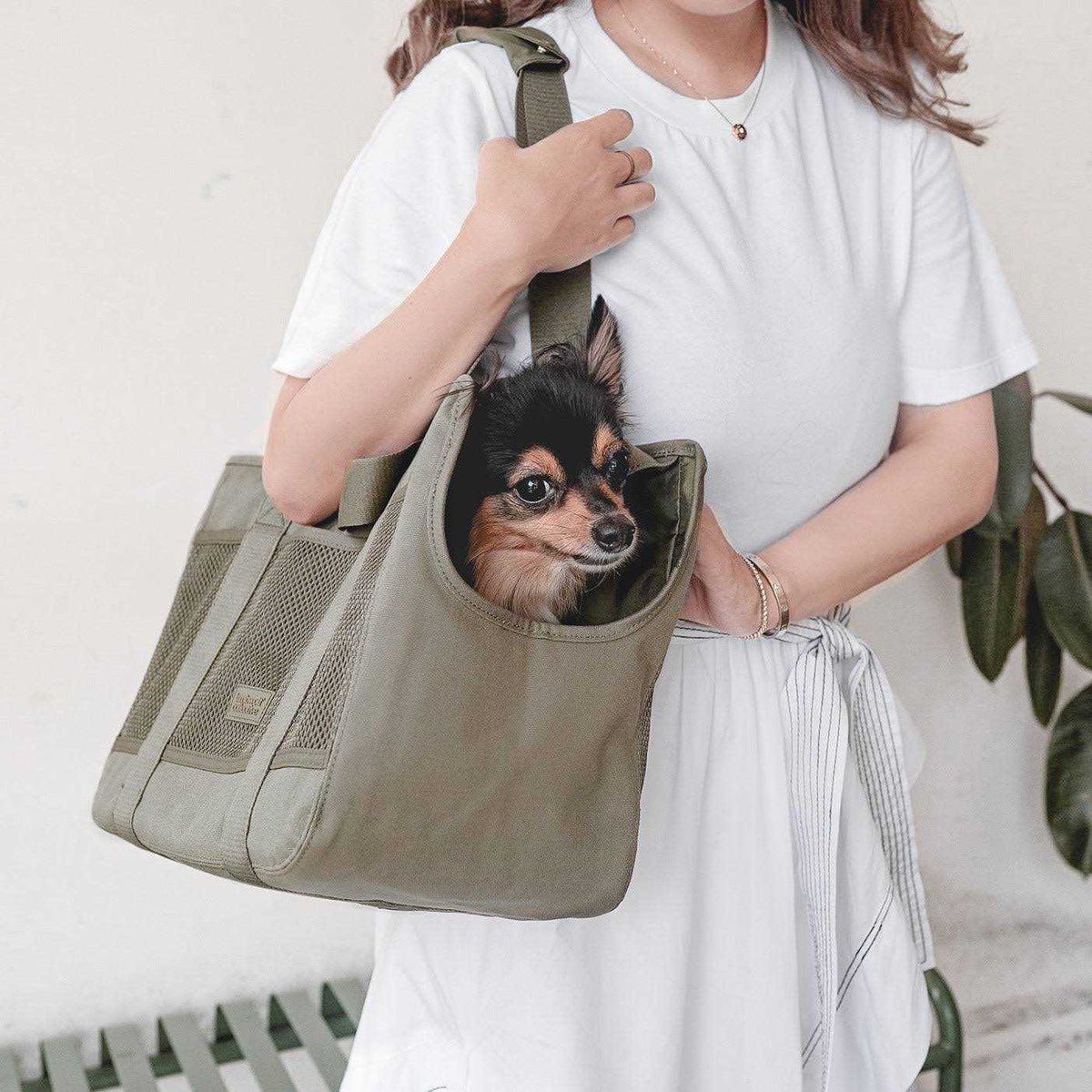 Canvas Lightweight Water Resistant Small Dog Carrier Y1351