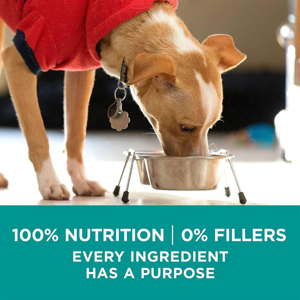 Dry Dog Food F250001