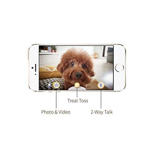 Dog Camera Z551