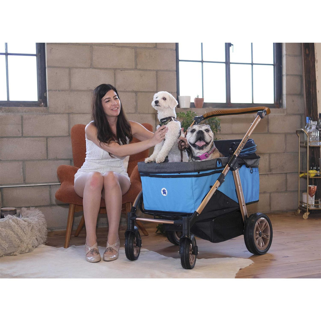 Pet Stroller R9730