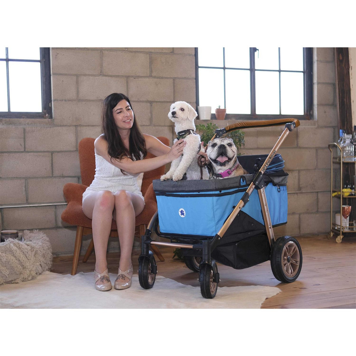 Pet Stroller R9730