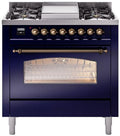 Blue Dual Fuel Propane Gas Range Y596