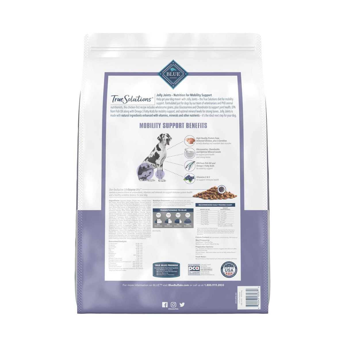 Dog Food Z34121