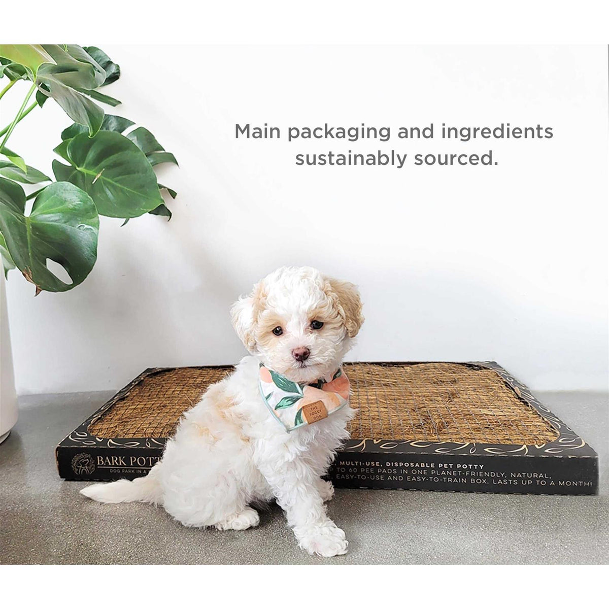 Disposable Dog Potty S5582