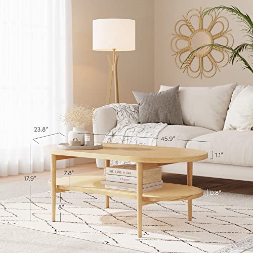 2-Tier Oval Coffee Table with Storage Shelf Y30282