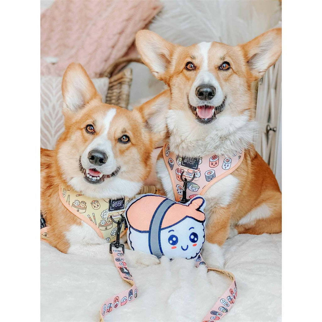 Reversible Dog Harness G9287