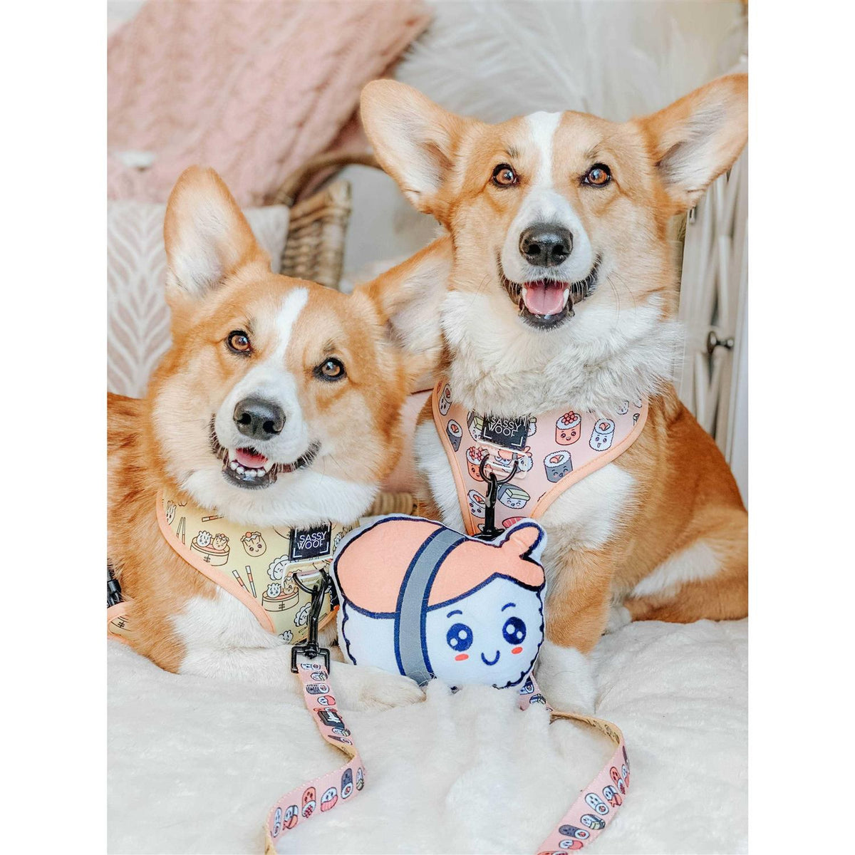 Reversible Dog Harness G9287