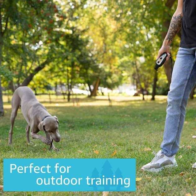 Waterproof Remote Dog Training Collar Z258404