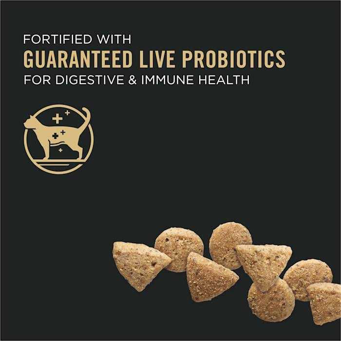 Grain Free High Protein Natural Dry Kitten Food M9928