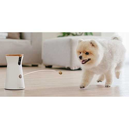Dog Camera Z551